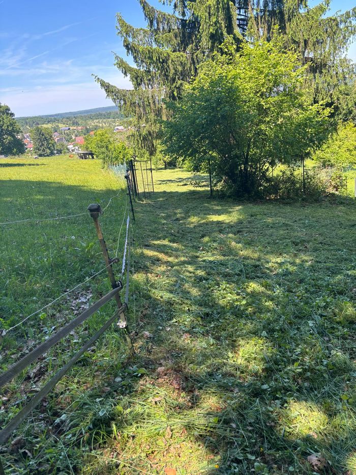 Frisch gemähte Wiese an einem Hang mit Blick ins Tal